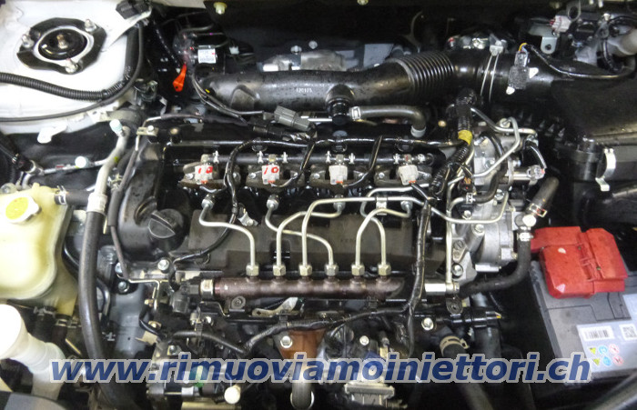 Iniettori rimuoviamo da Peugeot / Citroen con il
                motore 1.6 HDi 16V