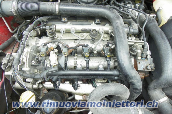 Rimuoviamo iniettori da Fiat / Lania / Opel con
                il motore 1.3 Multijet